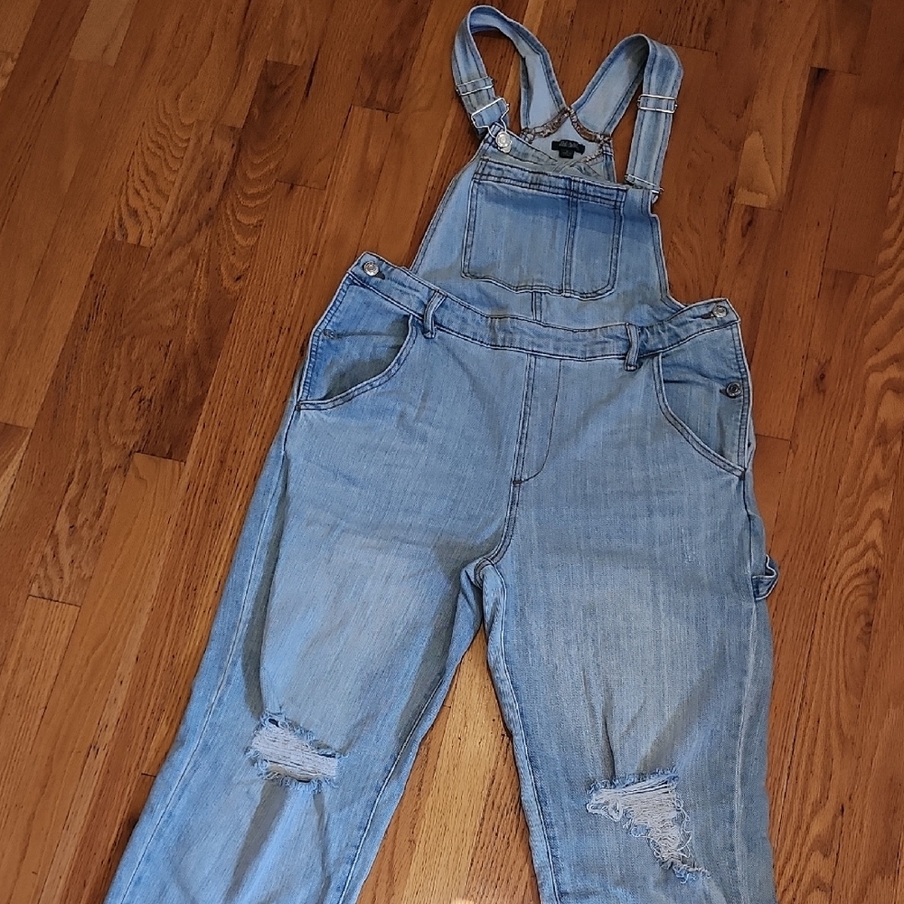 Wild Fable Light Blue Denim Overalls